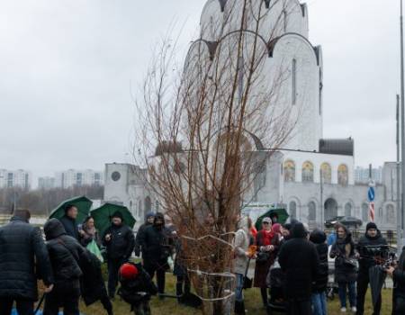 Blagoustrojstvo-i-ozelenenie-poluostrova-Pokrovskoe-Streshnevo-foto-10
