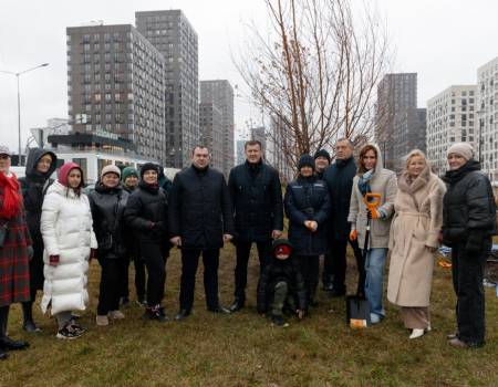 Blagoustrojstvo-i-ozelenenie-poluostrova-Pokrovskoe-Streshnevo-foto-8
