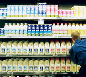 Грудное молоко от генетически модифицированных коров может поступить в продажу к 2013 году