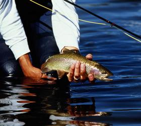 Закон о рыбалке обсудит общественность