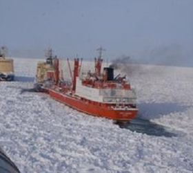 В Арктических водах спасены все члены экипажа российского судна «Берег Надежды»