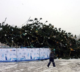 ЧП в Костроме: на женщину и ребёнка упала новогодняя ёлка.