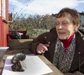 В Норвегии метеорит упал на  дом