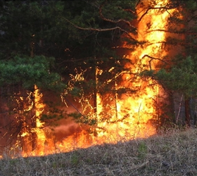 В Забайкалье пожаром охвачены более тысячи гектаров тайги