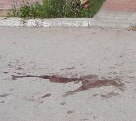 Омская школьница убила мужчину, не давшего ей закурить