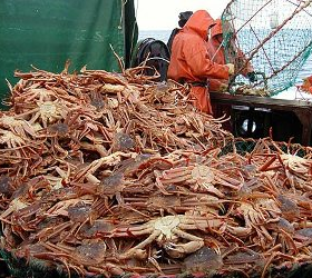 В Охотском море задержаны два браконьерских корабля