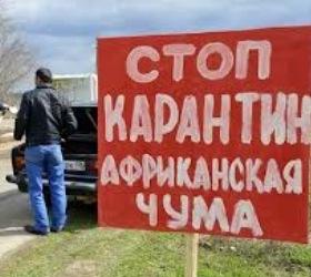 Афганская чума на Кубани