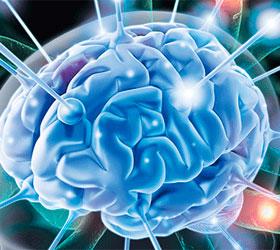 Ученые смогли обнаружить брешь в системе безопасности человеческого мозга
