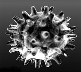 Министерство здравоохранения США обеспокоено быстрораспространяющимся смертельным вирусом