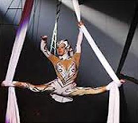 Известная гимнастка сломала шею в Москве на арене цирка