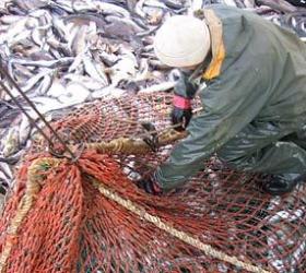 ФВС хочет выгнать китайских рыбаков с российского Дальнего Востока