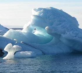 Под толщей антарктического льда учеными обнаружены живые существа