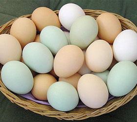 Яйца способствуют снижению уровня холестерина в крови