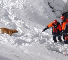 На курорте в Австрии под снежной лавиной погиб турист из России