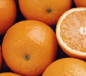 Оказывается цитрусовые вредно есть зимой
