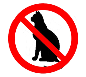 В Новой Зеландии хотят ввести запрет на кошек