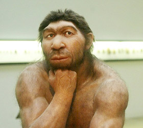 Ученые из Гарвардского университета опровергли информации о поиске суррогатной матери для неандертальца