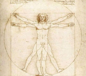 Десять самых бесполезных органов в организме человека