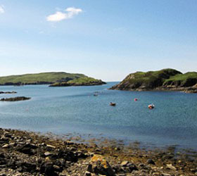 К берегу заповедника в Шотландии прибило сало времен Второй мировой войны