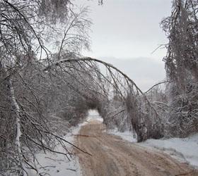 Ледяной дождь прошел в столице 