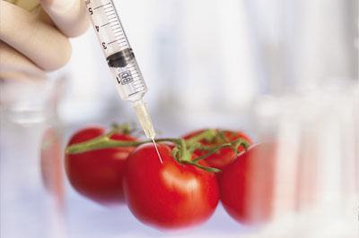 Президент России поручил ужесточить контроль над продуктами ГМО