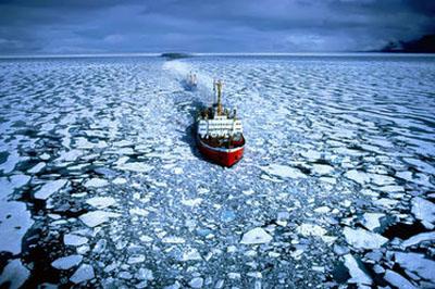 Льды  Арктики увеличились на 60 процентов