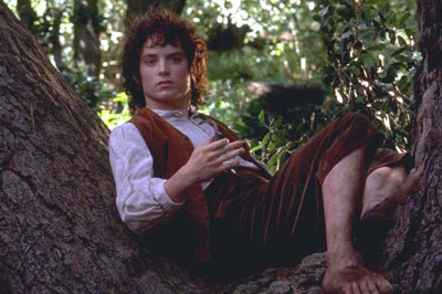 Представив, что он Фродо из «Властелина колец», молодой человек зарезал друга  