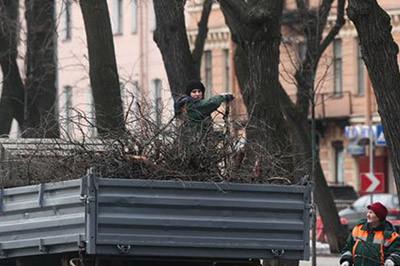 В Петербурге начался сильный ураган  