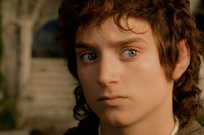 Представив, что он Фродо из «Властелина колец», молодой человек зарезал друга