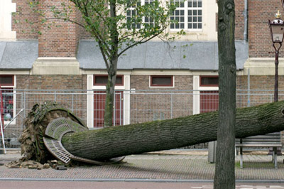 В Петербурге начался сильный ураган