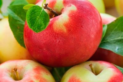 Яблоки способствуют укреплению сердечно-сосудистой системы
