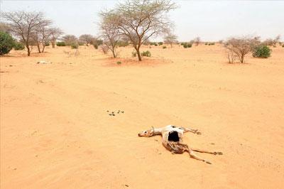 В 2014 году ожидаются сильные засухи