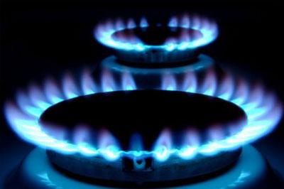 Германия не ожидает прекращения поставок газа из-за политической ситуации на Украине
