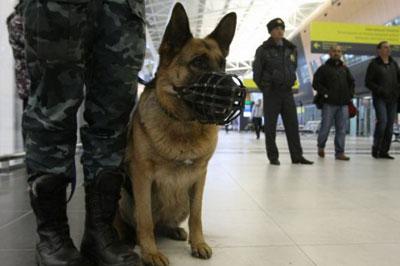 В аэропорту Магадана эвакуировали пассажиров