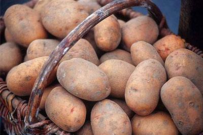 Белоруссия запретила ввозить украинскую картошку