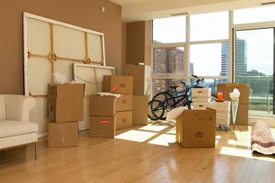 Мы везём с собой кота, чижика, собаку… Реалии квартирного переезда