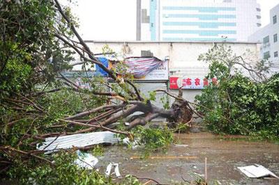 Число жертв тайфуна «Раммасун», в Китае увеличилось до 18 человек