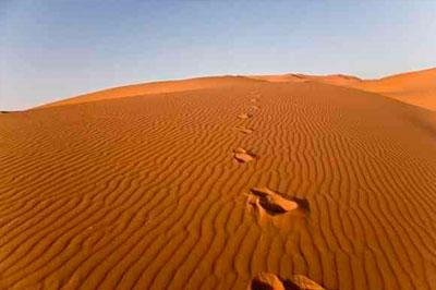 Ученые нашли новую версию образования пустыни Сахары