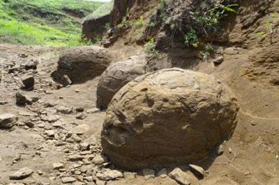 В Монголии обнаружили яйца и тушу динозавра