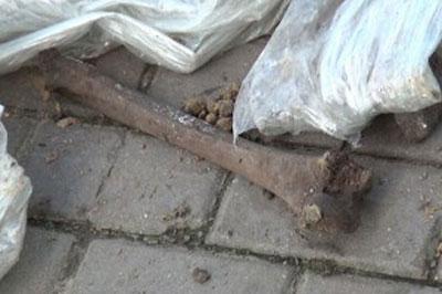 В Москве нашли разбросанными человеческие кости