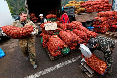 Россия ввела запрет на поставки украинской растительной продукции