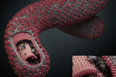 Изобретено лекарство от вируса лихорадки Эбола