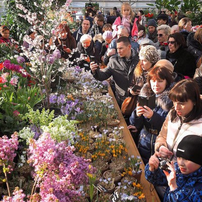 За первые 2 дня работы выставку "Репетиция весны" в "Аптекарском огороде" посетили более 8400 человек