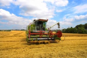 Правительство выделило более 12 млрд рублей на поддержку растениеводства