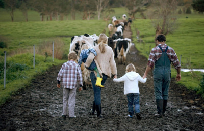 Семейная ферма – подмосковный рецепт борьбы с кризисом