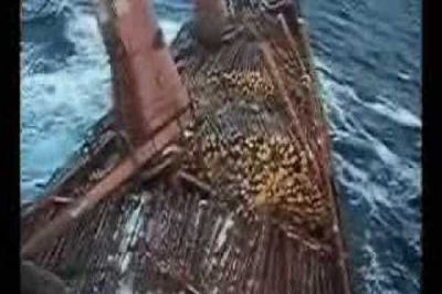 сухогруз «Альфа» терпит крушение в Японском море