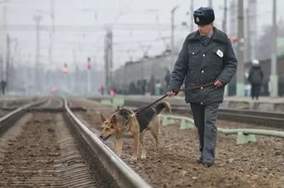 Экстренные службы Москвы осматривают вагон, в котором найдена взрывчатка