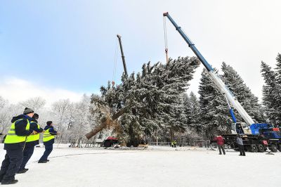 Дед Мороз уже доставил главную новогоднюю елку в столицу