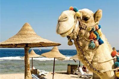 Российская семья заплатит 180-240 долларов только за въезд на египетский курорт