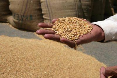 Венесуэла будет покупать зерно у России